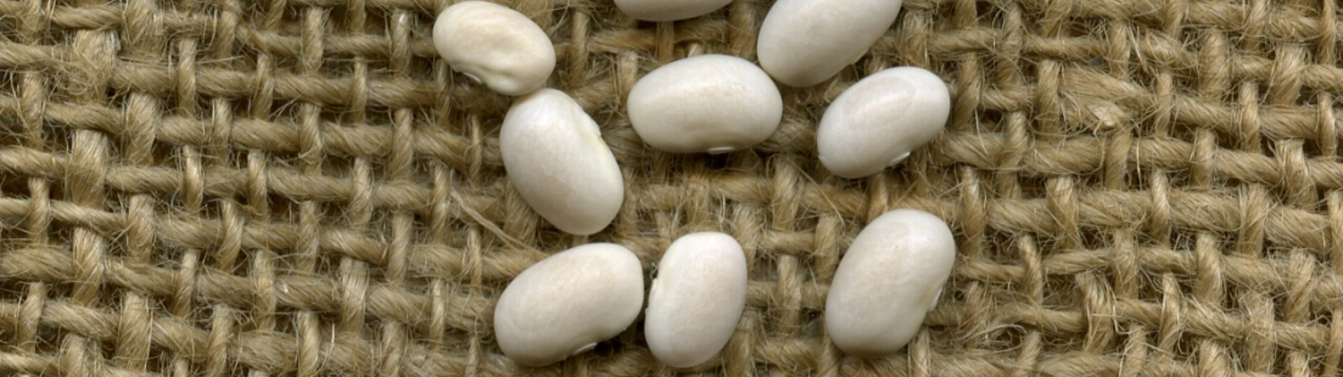 fagiolo-bianco-fluminimaggiore