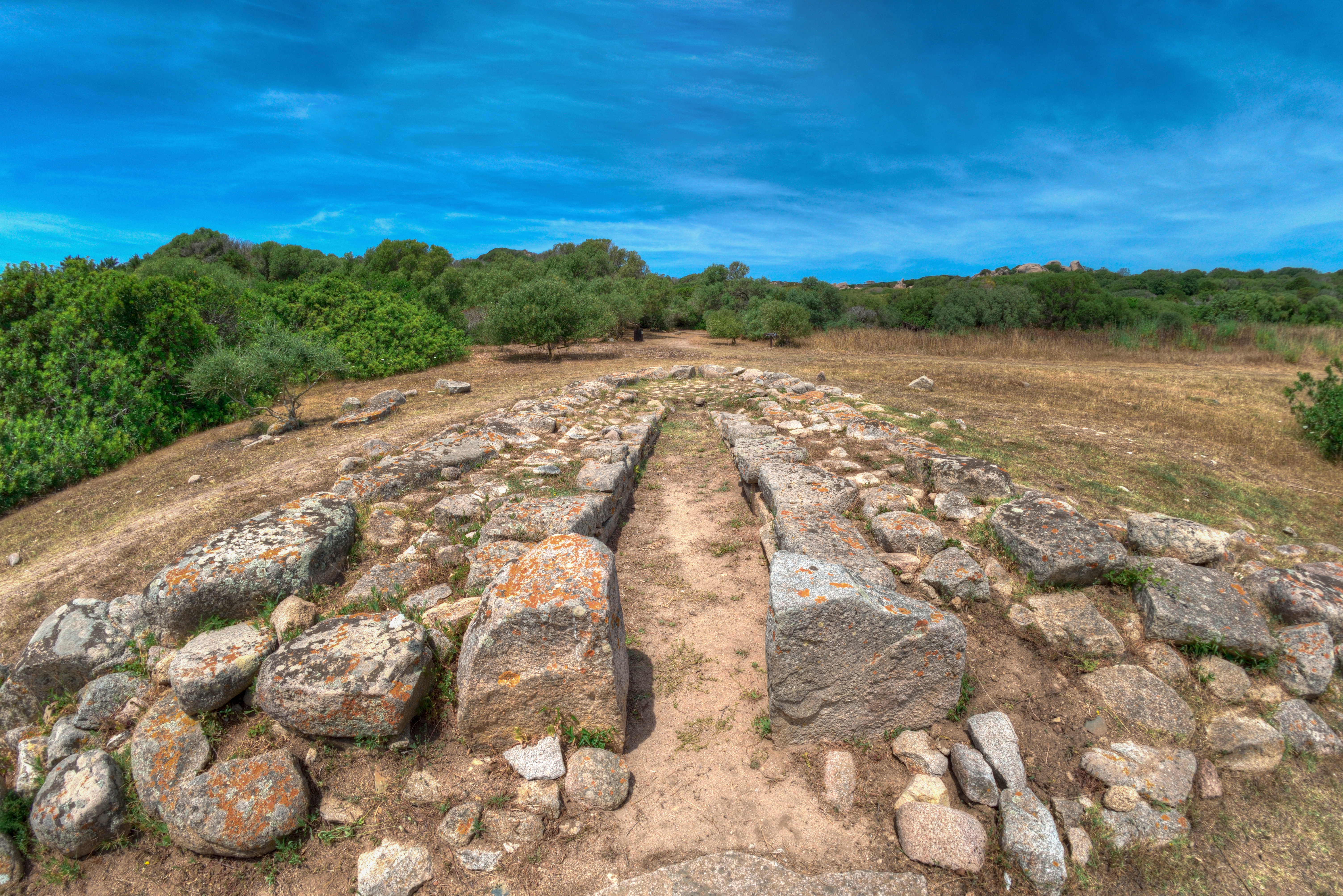 santa-teresa-copertina