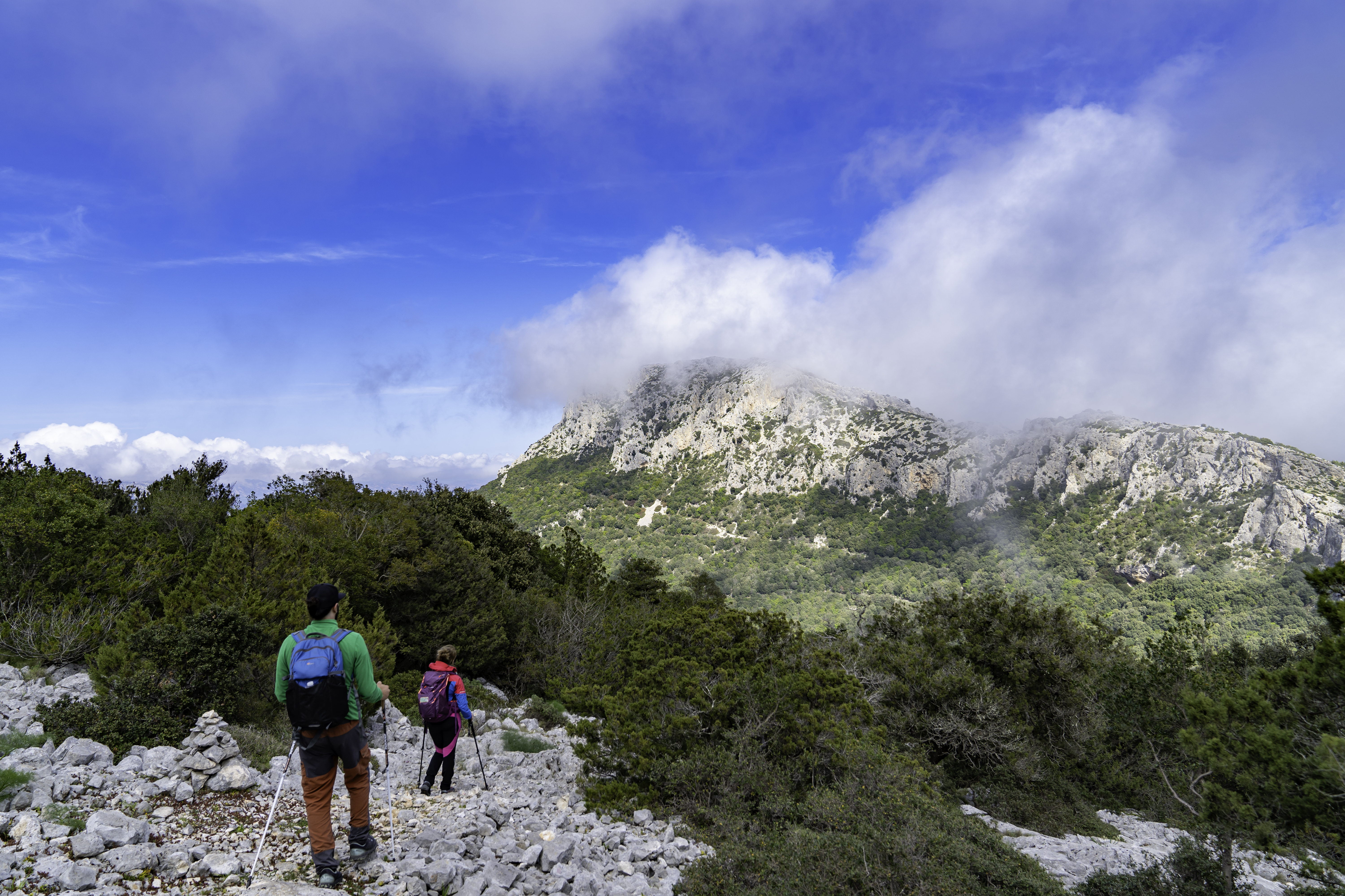 Cammino dei beati